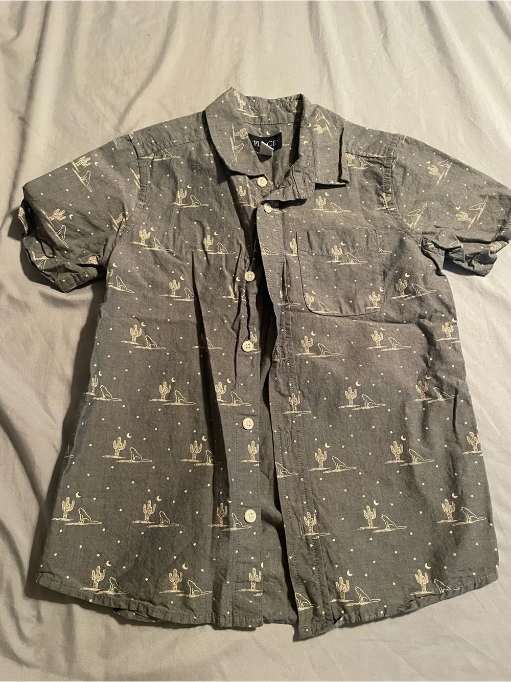 The Children's Place Chambray Short Sleeve Desert Cactus Button-Down Shirt